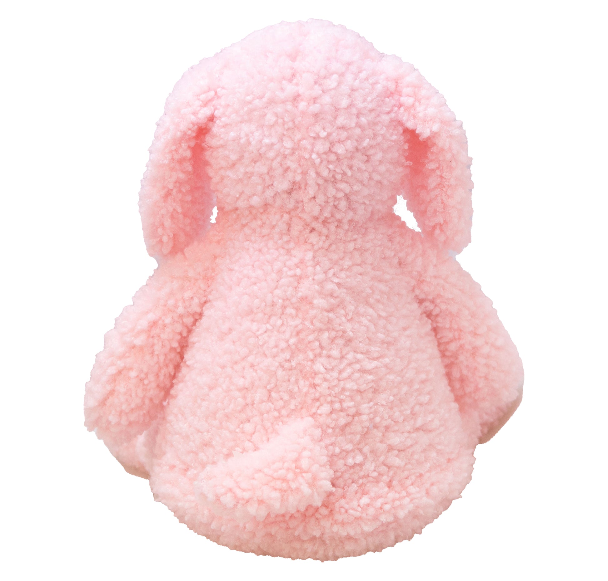 Paris The Pink Dog