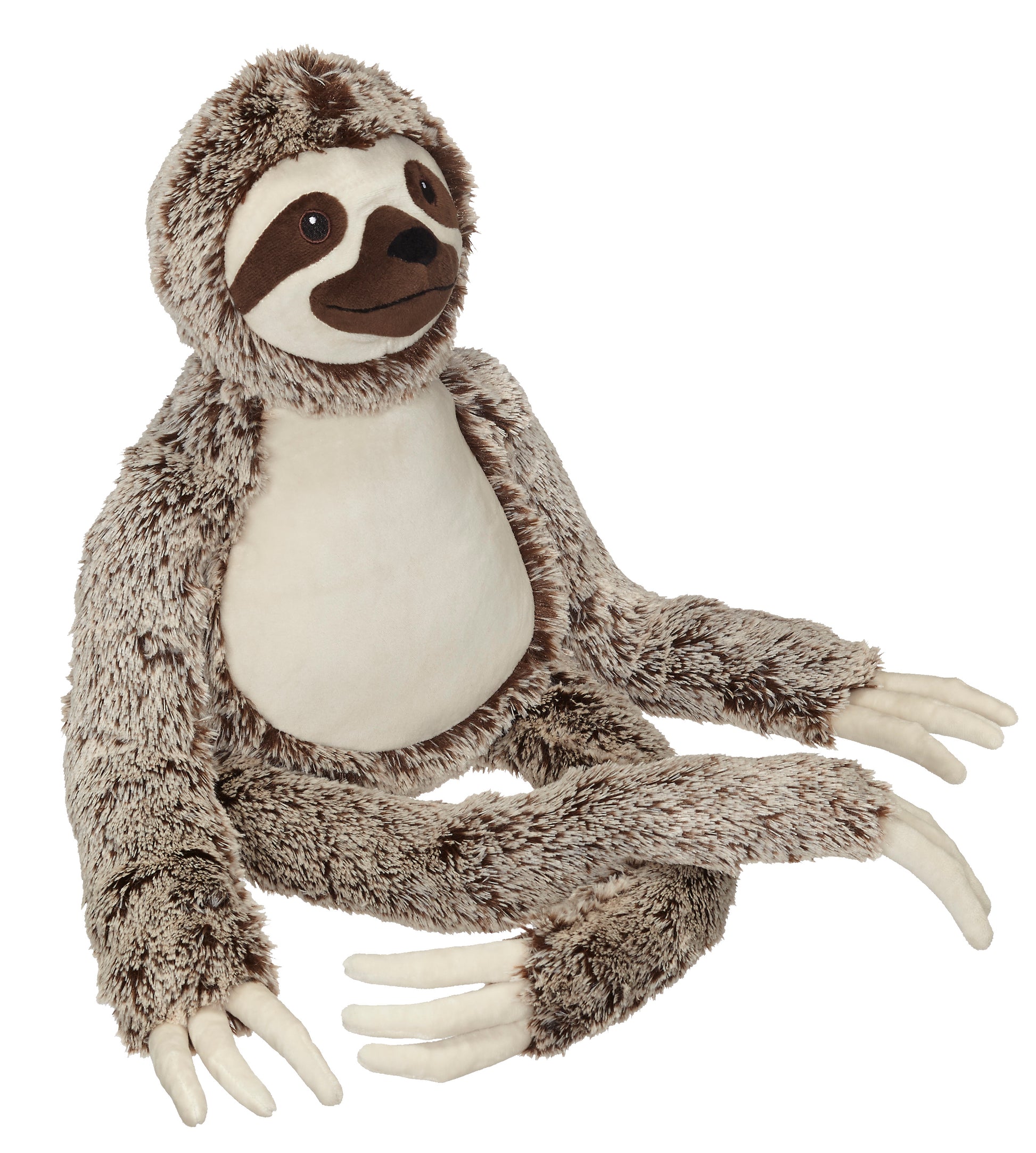 Sleepy Sloth