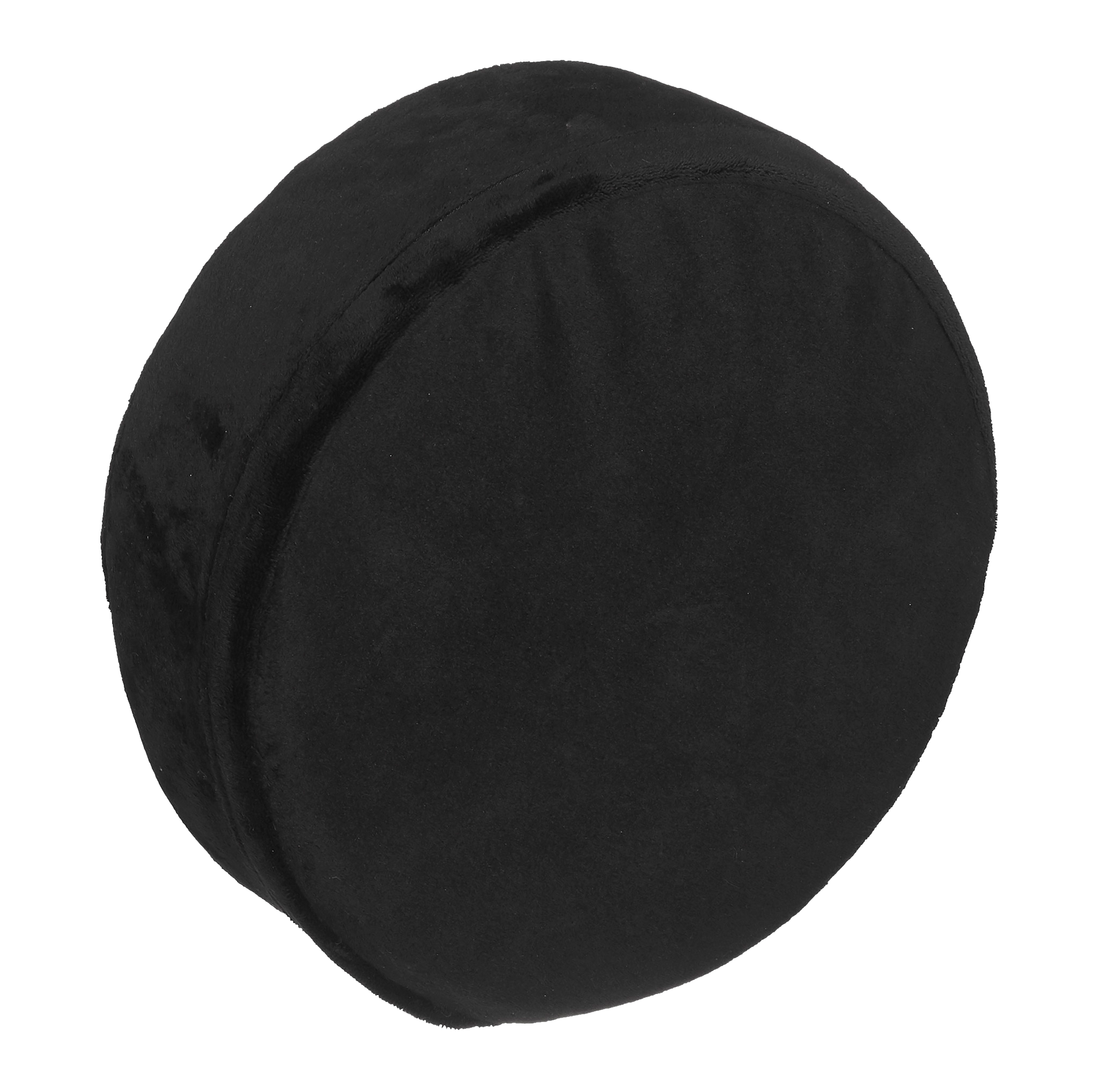 Hockey Puck